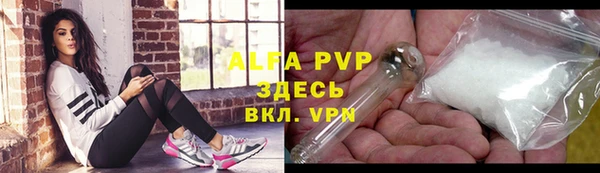 метадон Богданович