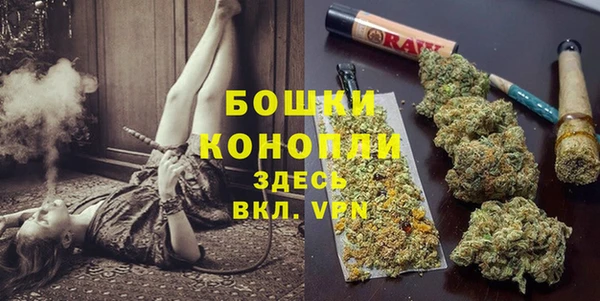 стафф Ладушкин