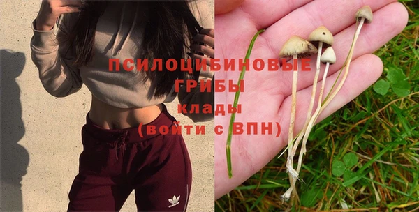 мдма Богородск