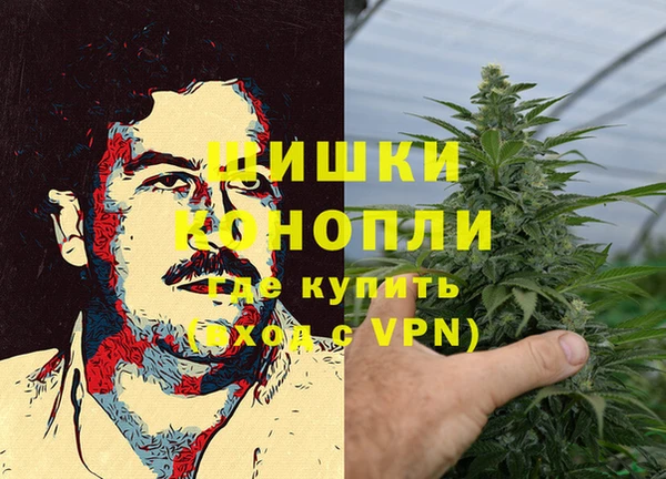 дмт Богородицк