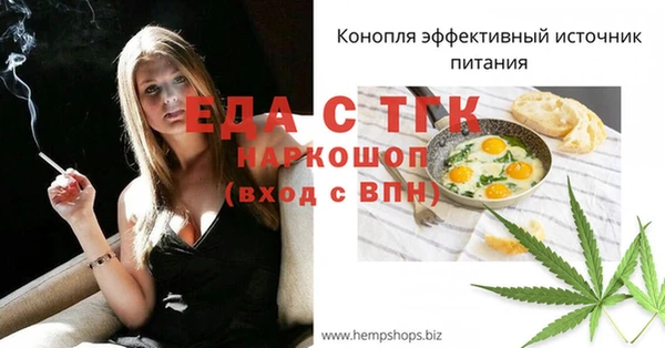 дмт Богородицк